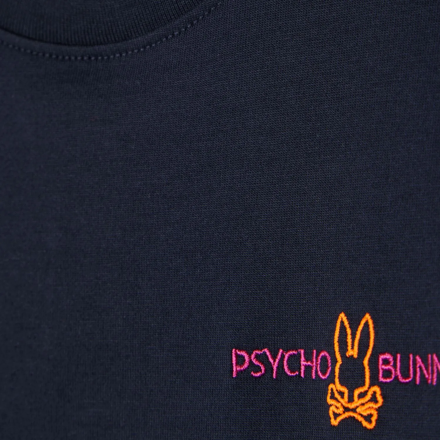 Psycho Bunny Kids Wasterlo Back T-Shirt_  B0U317B2TS-410